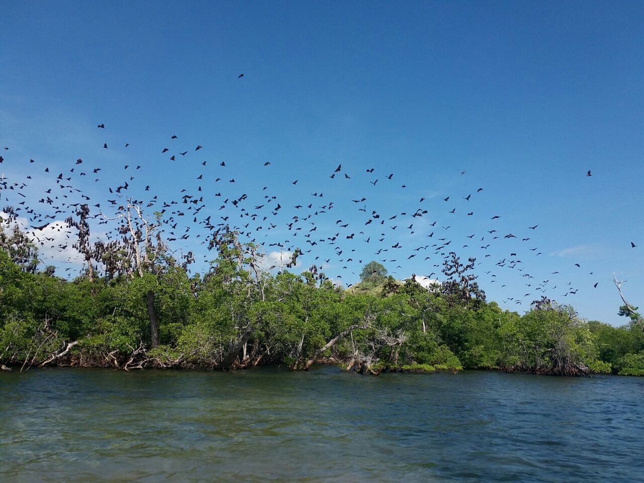 Kalong island - 2 days Komodo trip