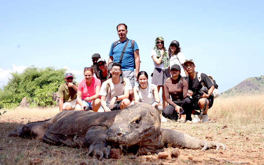 Komodo Dragon - One day shared Komodo tour