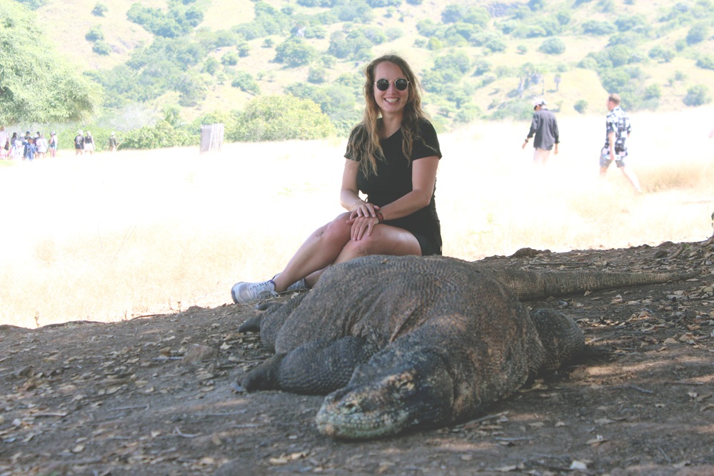 Komodo dragon at Rinca island