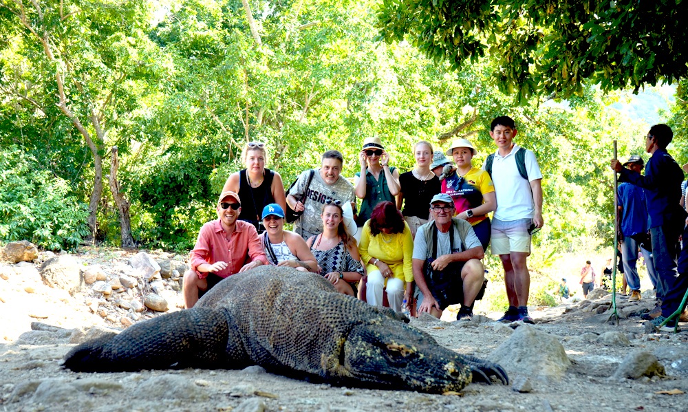 Komodo Dragon at Komodo island