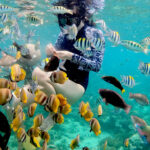 Gili Islands snorkeling tour Gili Islands snorkeling tour