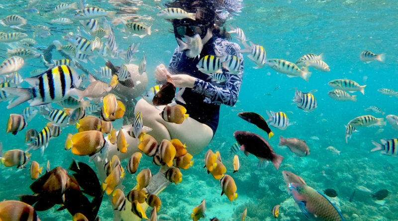 Gili Islands snorkeling tour Gili Islands snorkeling tour